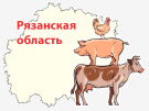 Рязанская область продолжает увеличивать производство молока, мяса, яиц