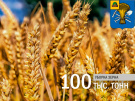Милославские аграрии намолотили 100 тысяч тонн зерна нового урожая