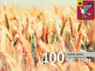 В Скопинском районе намолочено свыше 100 тысяч тонн зерна