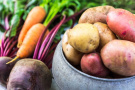 Граждане, выращивающие картофель и овощи, смогут получить государственную поддержку