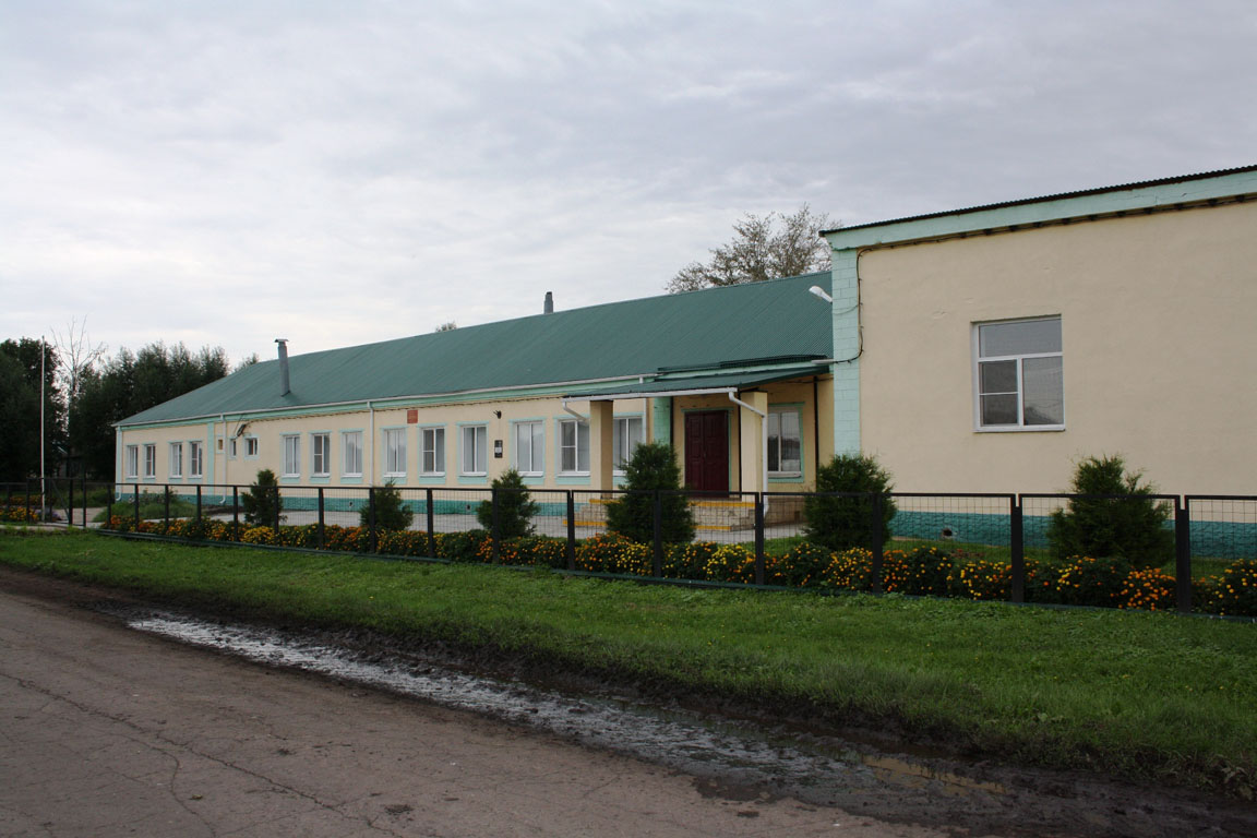 Погода в александро невском районе. Александро-Невский район Рязанская область. Сергиевский Боровок Александро-Невского района. Село Ленино Александро-Невский район. Село Ленино Александро-Невский район Рязанской области.