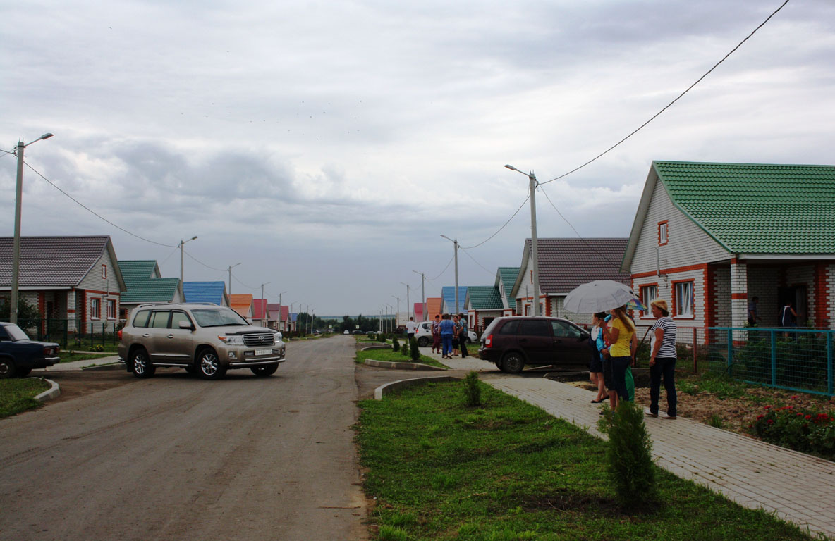 Погода в александро невском рязанской. Калинино (Александро-Невский район). СПК Нива Александро-Невский район. Александро-Невский Рязанская область. Село Калинино Александро-Невский район Рязанская область.